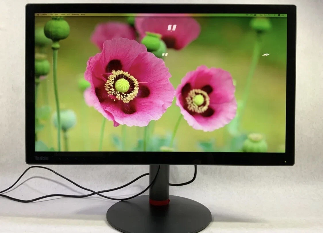 Lenovo 28-30.9 Inch Computer Monitors for sale | eBay