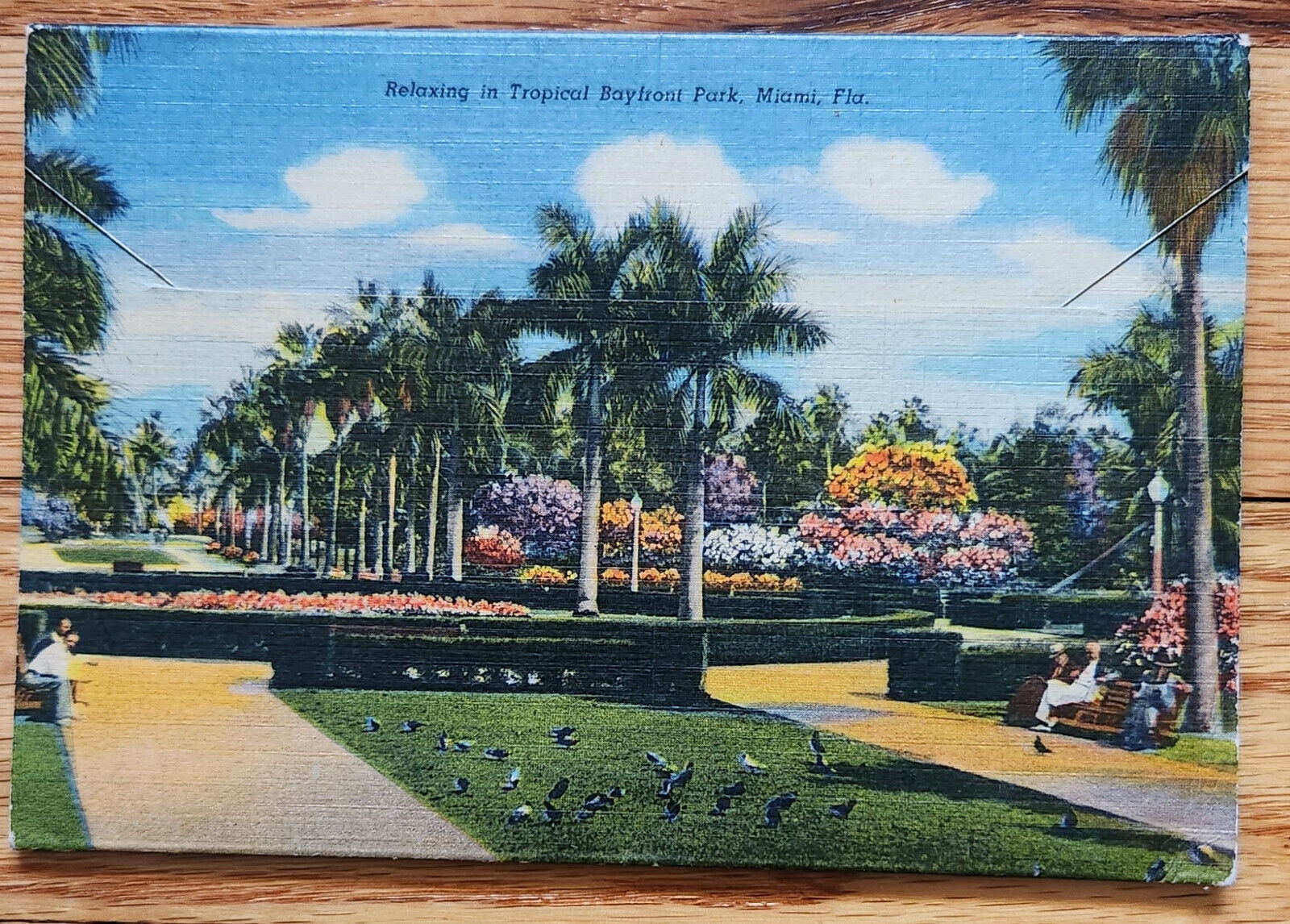 19 Vintage Postcards Florida Miami Orlando Hotels etc