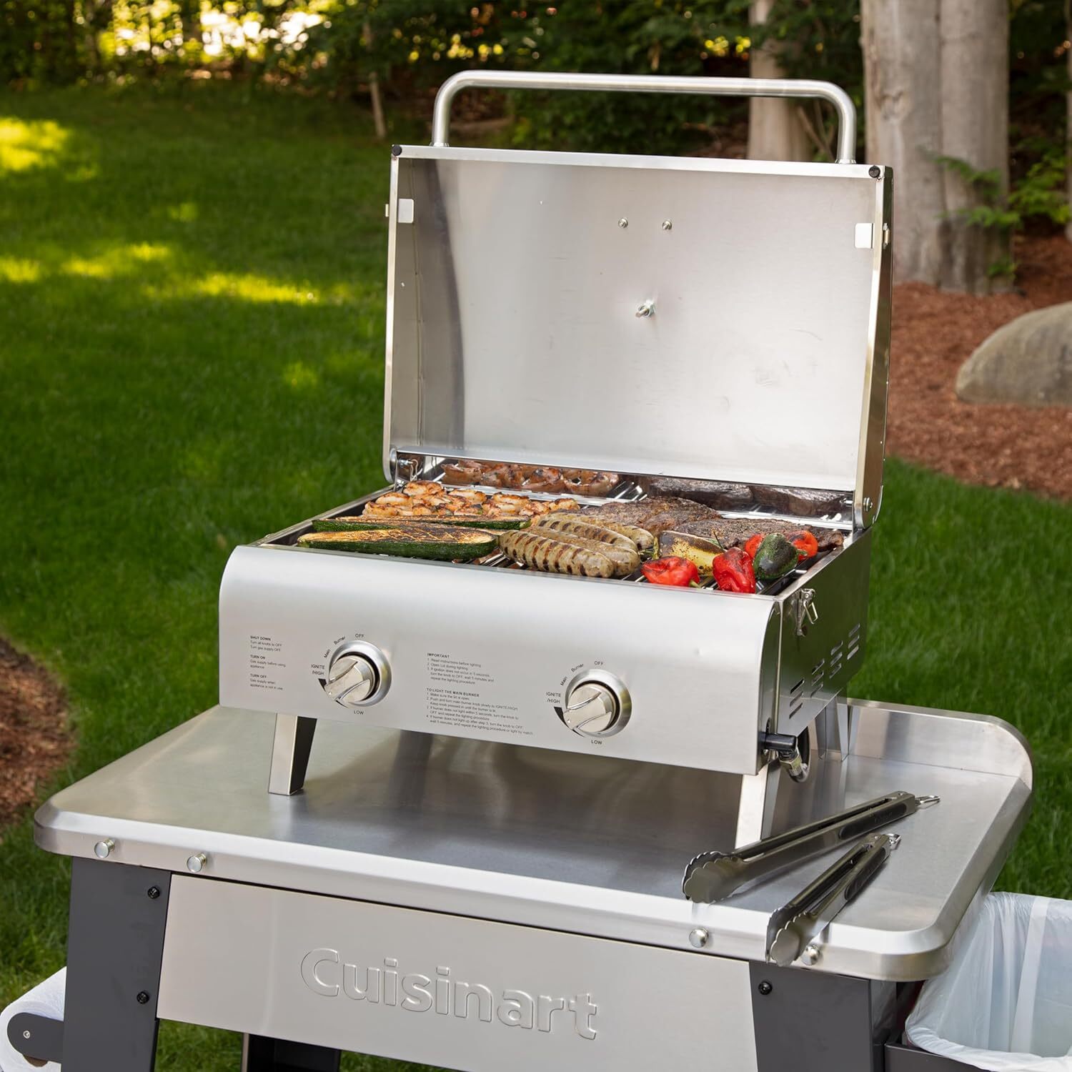 Portable Propane Tabletop Professional Gas Grill,BTU Burners,Stainless