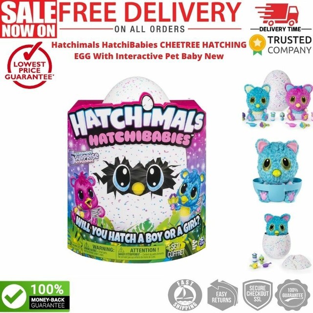 hatchimals hatchibabies chipadee hatching egg with interactive pet baby