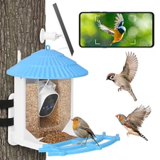 Solar Powered Smart Bird Feeder With 2K Camera PIR Motion AI Identify App Video