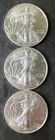 Lot of Three 2020 $1 American Silver Eagle Dollars