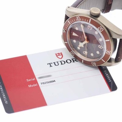 Tudor Heritage Black Bay Bronze 79250BM 43mm Brown Dial Automatic Watch #C12001