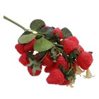 Bild 5 von 12