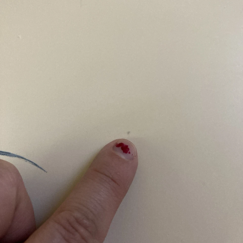 Corelle Coastal Breeze Set Of 4 Placemats Vinyl Reversible - Image 4 of 4