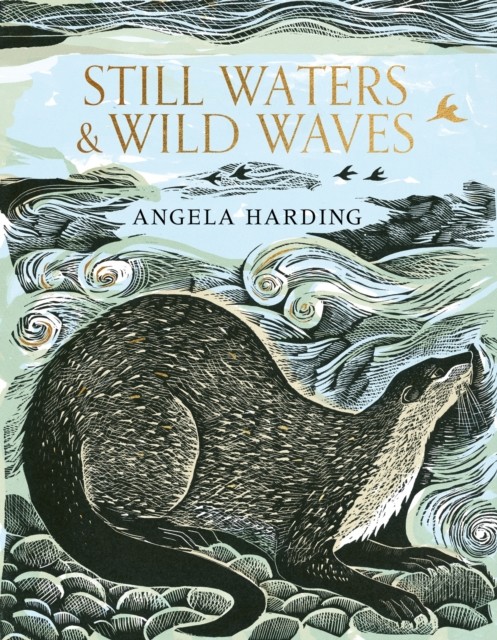 Still Waters & Wild Waves by Angela Harding (Hardback Book)