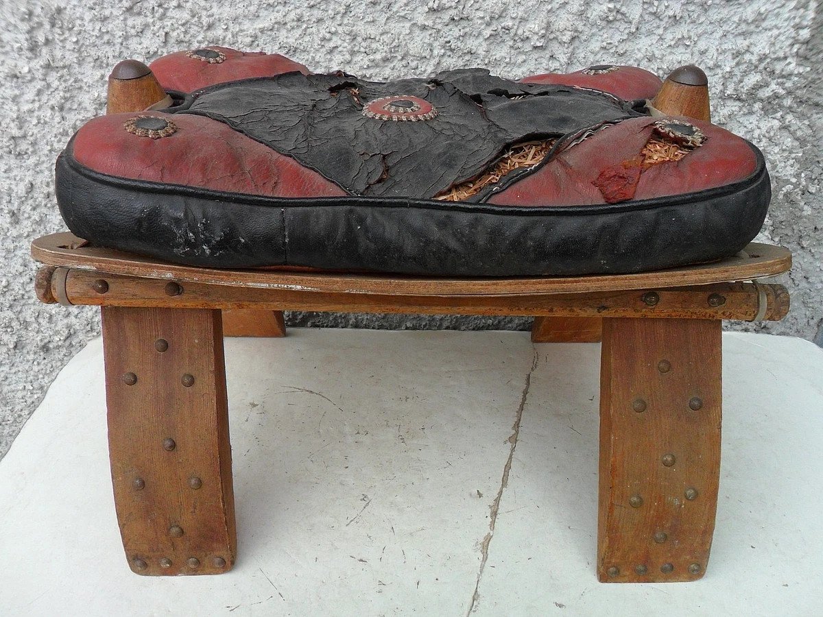 IlGruppone Pouf Contenitore A Forma di Animali Poggiapiedi Imbottito con Gambe in Legno Animale Panchina Sgabello Animaletto