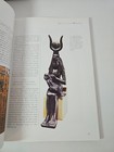 Foto 9 di 9