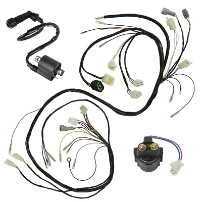 Ignition Coil Switch CDI Relay Wire Harness For Yamaha Warrior - Foto 4