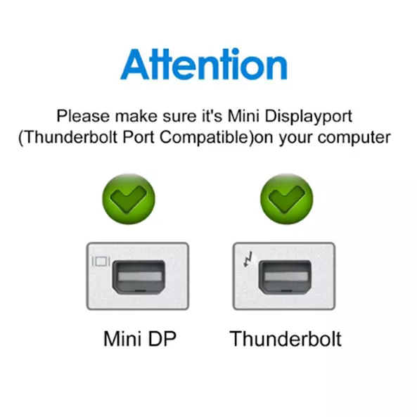 Mini displayport shop display