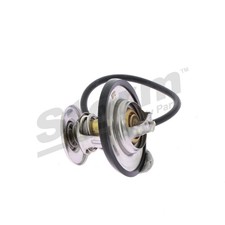 Thermostat Audi 100