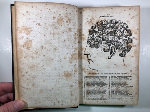 The Illustrated Self-Instructor in Phrenology & Physiology by Fowler, 1852 - Picture 6 of 10