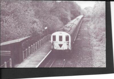 3 EICHEN BAHNHOF HALTESTELLE - EAST SUSSEX # POSTKARTE 264