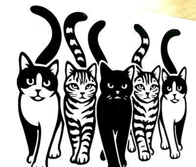 1x Katze Katzen Aufkleber Vinyl Sticker Auto Van Camper Laptop Fenster 6,5x5,5 Zoll