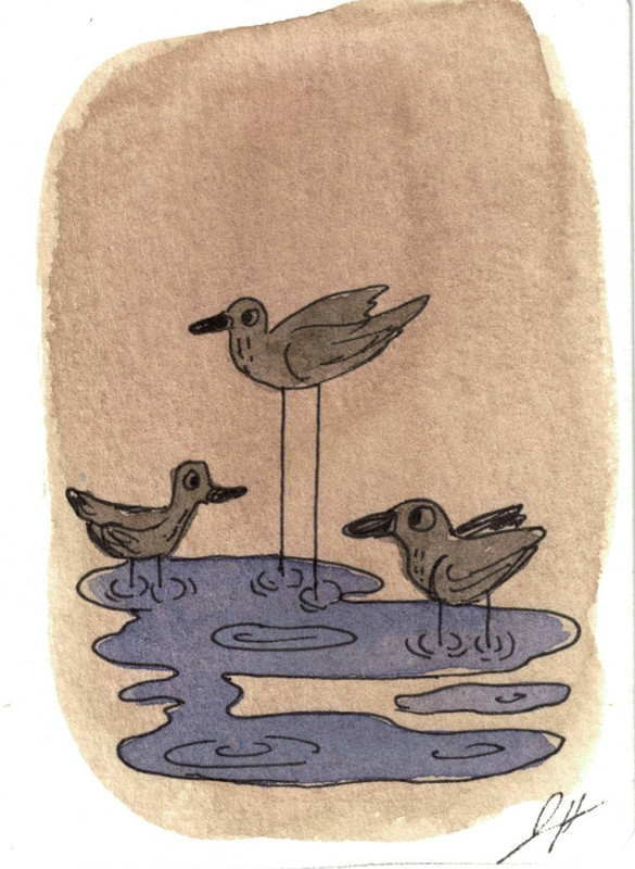 Original ACEO Watercolor Painting Art, Birds and Water Also,  Artist J. Hincapie