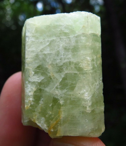 HELIODOR GOLDEN BERYL VERY RARE LOCALITY LARGE GORGEOUS CRYSTAL NEW HAMPSHIRE - Picture 7 of 11
