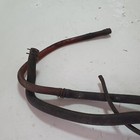 Foto 4 di 9