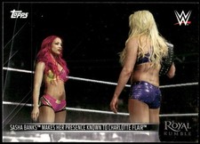 2017 Topps WWE NXT #20 Sami Zayn vs. Samoa Joe