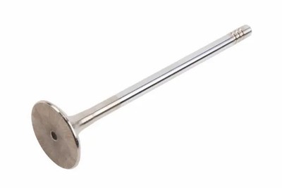 Genuine GM Exhaust Valve 55565339