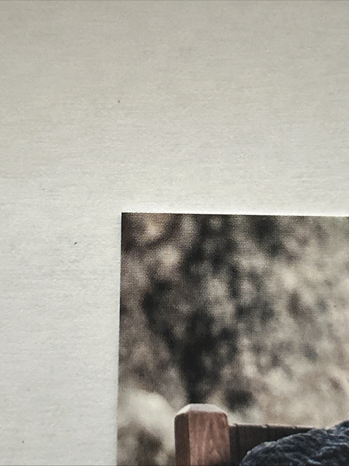 Picture 4 of 6