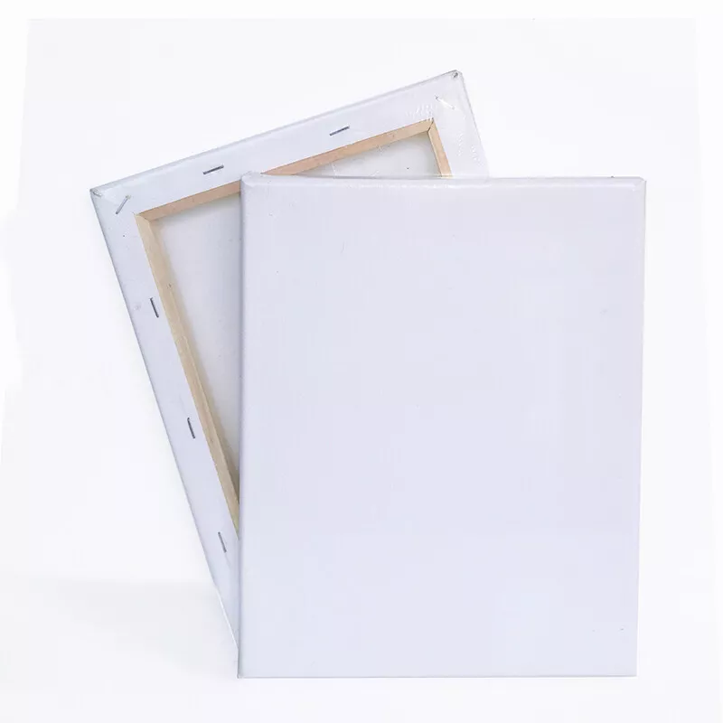 Large Canvas for Painting, 2 Pack 30x40 White Pre 30X40 (2-PACK