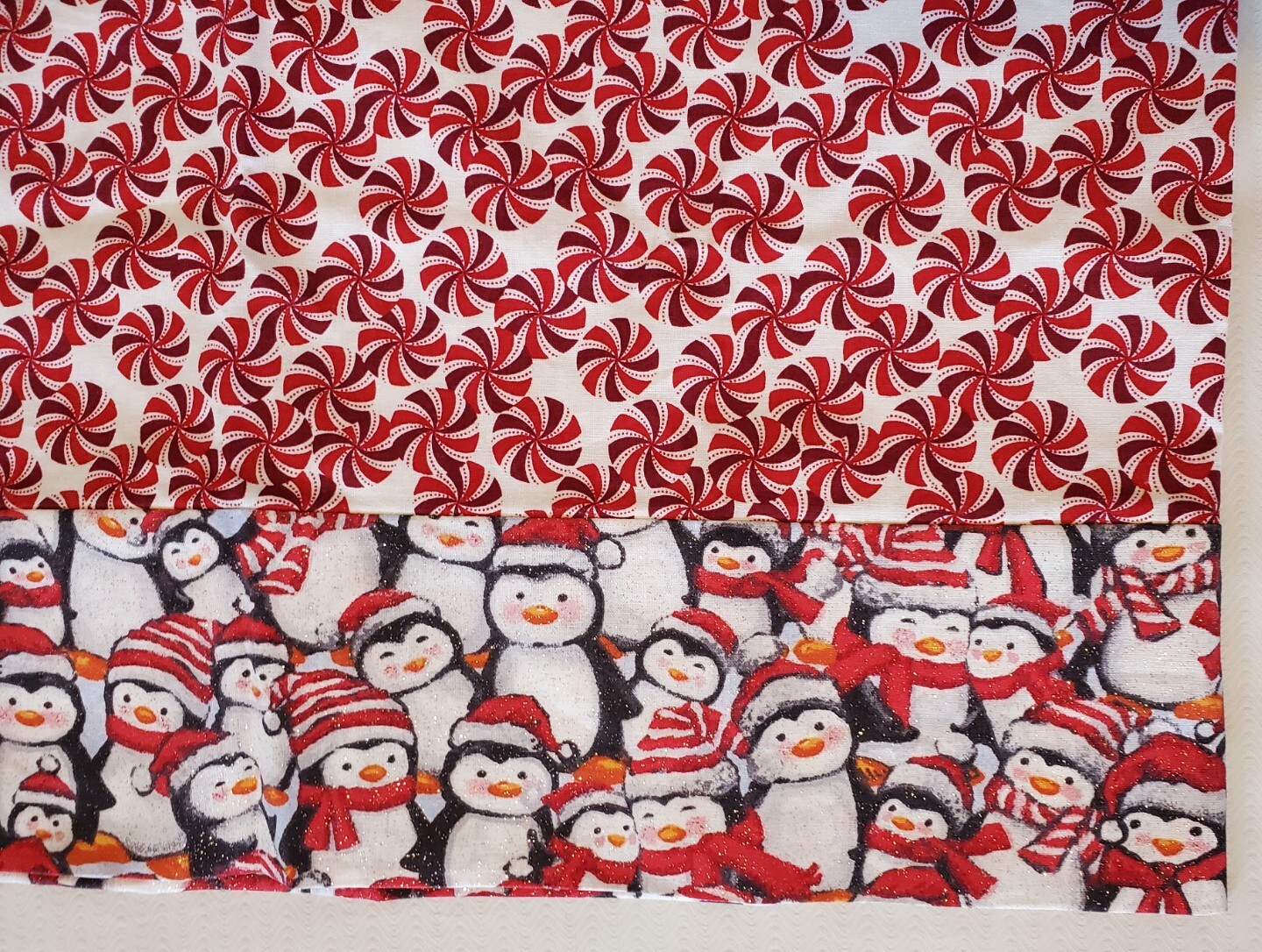 Foto 1 di 2