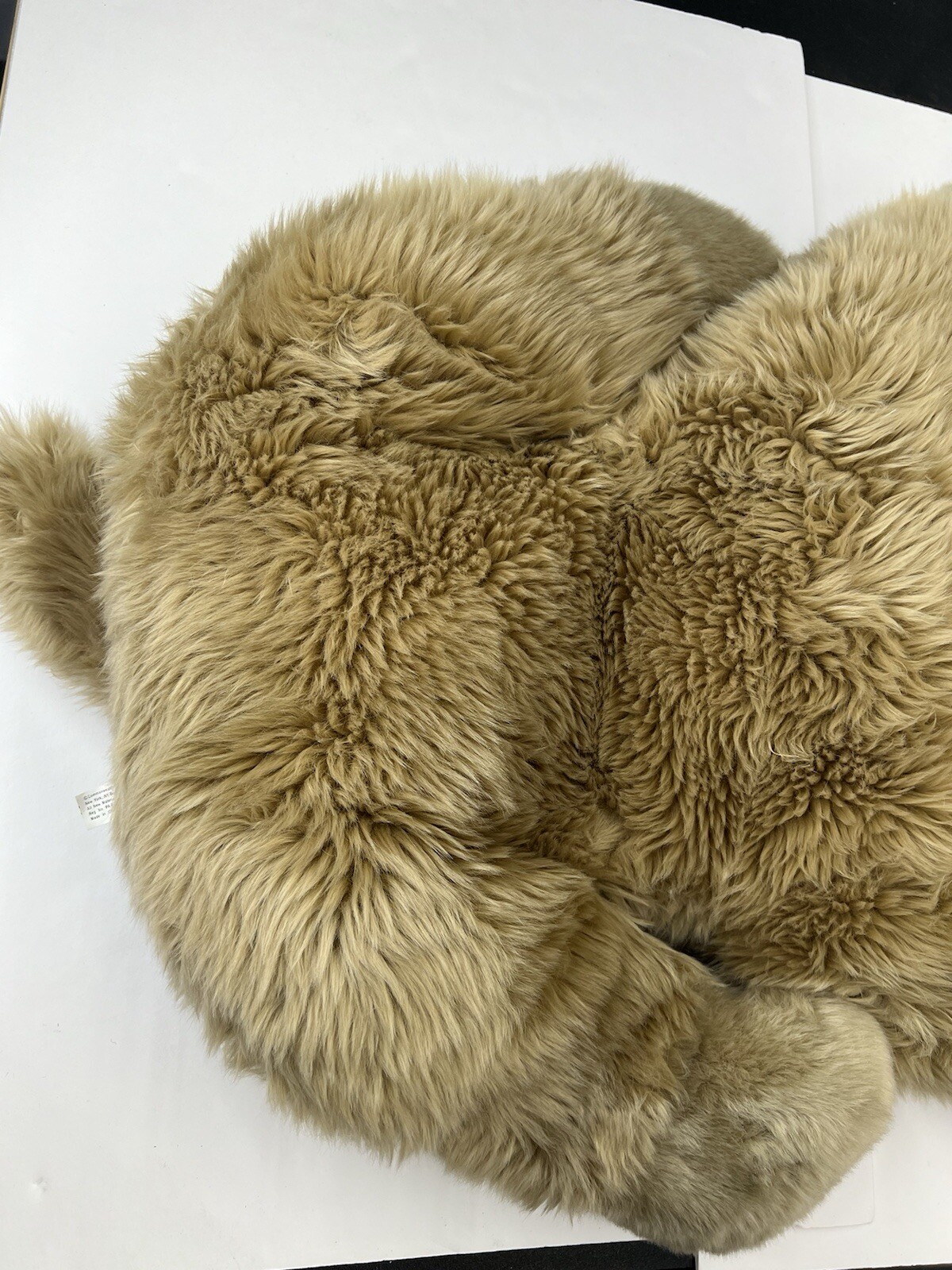Picture 5 of 11