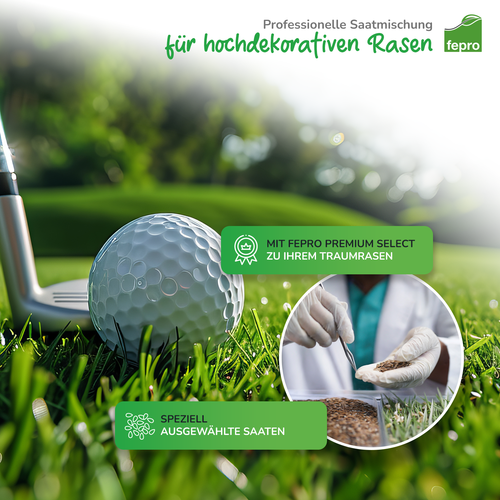 Rasensamen 5kg 10kg 20kg Sport- und Spielrasen Sportrasen Grassamen Rasensaat - Bild 27 von 28