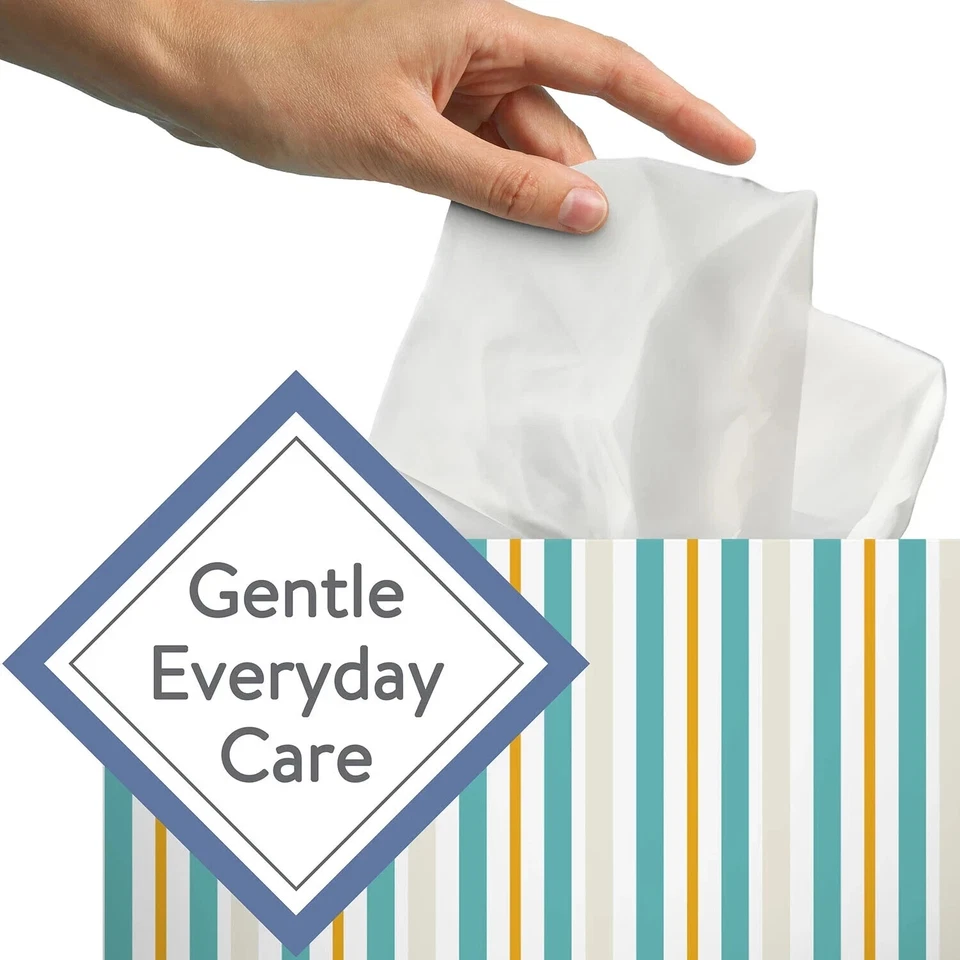 Member’s Mark 2 camadas tecidos faciais, caixas planas (160 tecidos/caixa, 12 caixas) - Imagem 3 de 4