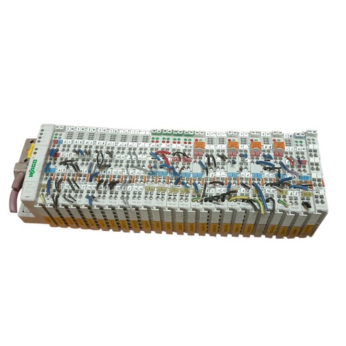 WAGO 750-333 + RACK With Modules