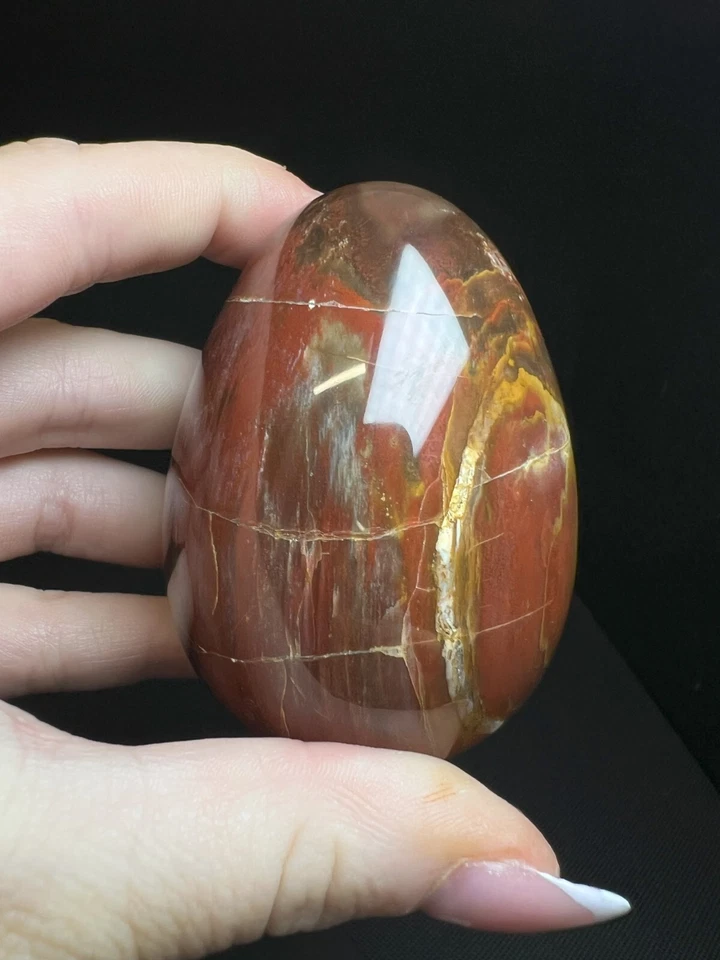 Polished Fossilized wood Egg From Madagascar- Easter Gift, Crystal Healing - Image 3 of 4