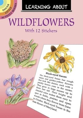Learning About Wildflowers (Little Activ... by Barlowe, Dot Paperback / softback