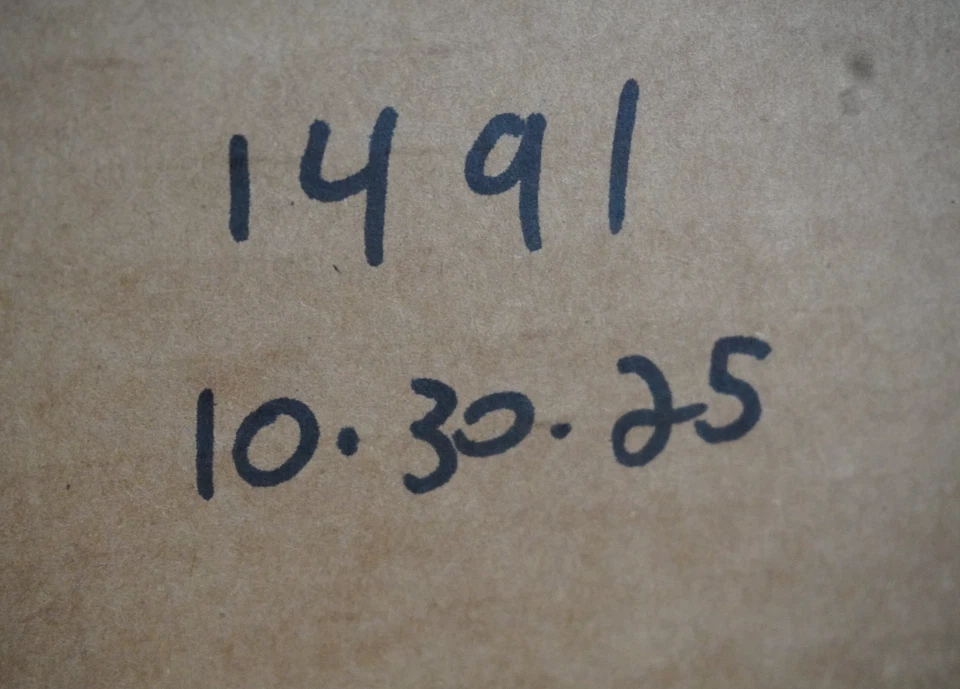 Espejo retrovisor interior Kia Optima 2014 2015 2016 OEM E11028008 Foto 4 de 4