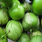 Tomatillo Verde Seeds 100 SEEDS NON GMO BUY 4 ITEMS FREE SHIPPING