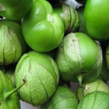 Tomatillo Verde Seeds 100 Seeds  Non-gmo --buy 4 Items Free Shipping