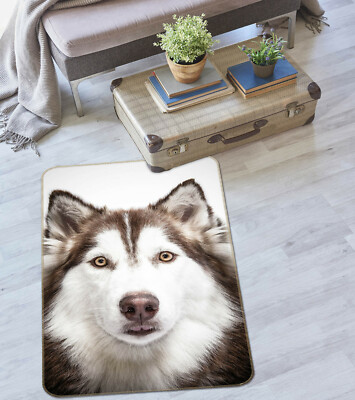 3D Cute Husky B234 Animal Non Slip Rug Mat Elegant Photo Carpet Zoe ...