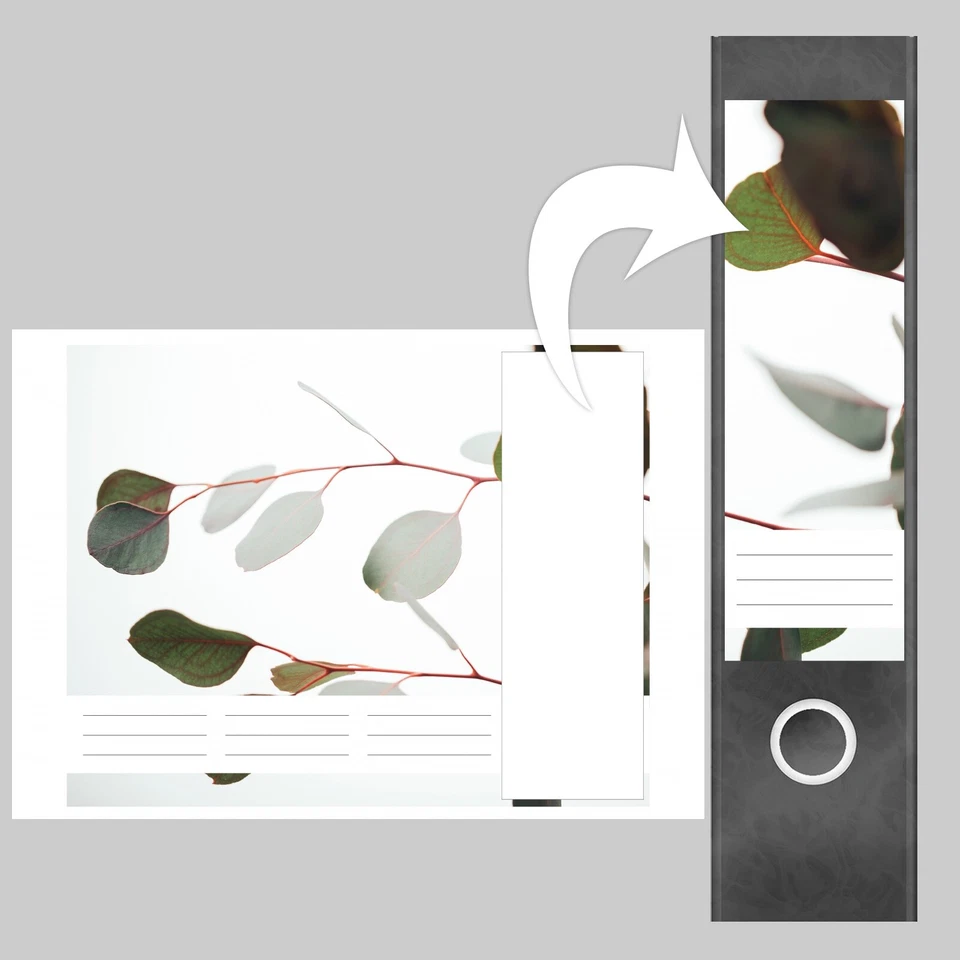 Ordnerrücken Aufkleber Set 4-teilig Panorama A4 selbstklebend Büro Eukalyptus - Bild 3 von 4