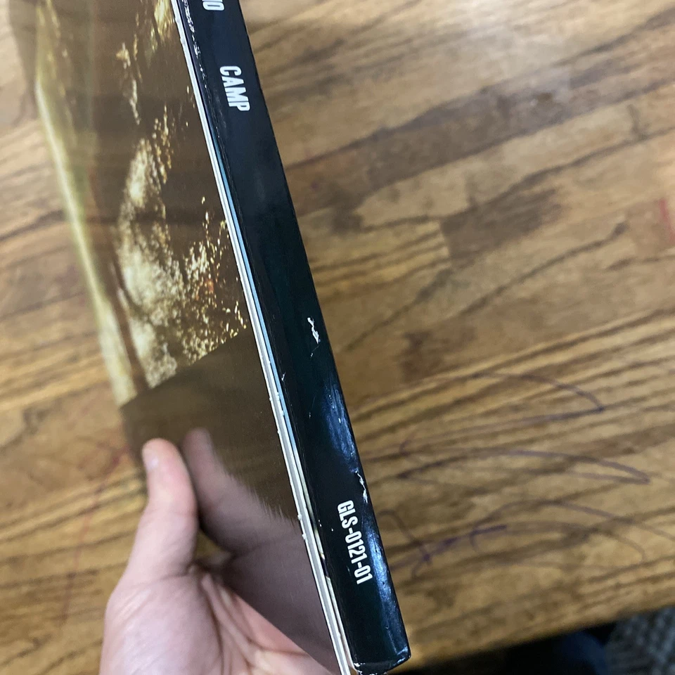 Camp Chilidsh Gambino Record Vinyl LP Album Foto 3 de 4