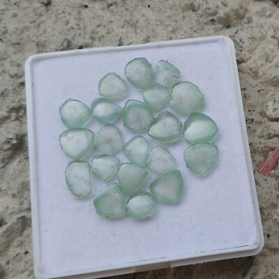 31 Ct Natural Light Green Color Tourmaline Smooth Slice 21 Piece Lot Gemstone
