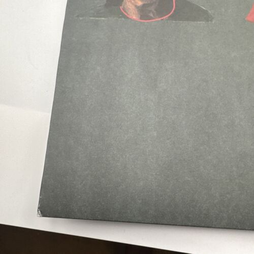 Mj Lenderman Manning Fireworks Lp 2024 (Vinyl) - Picture 2 of 24