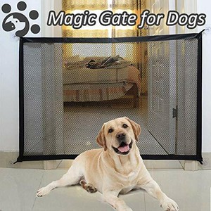 queenii magic gate