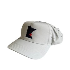 Minnesota Twins Light Gray Snapback Hat