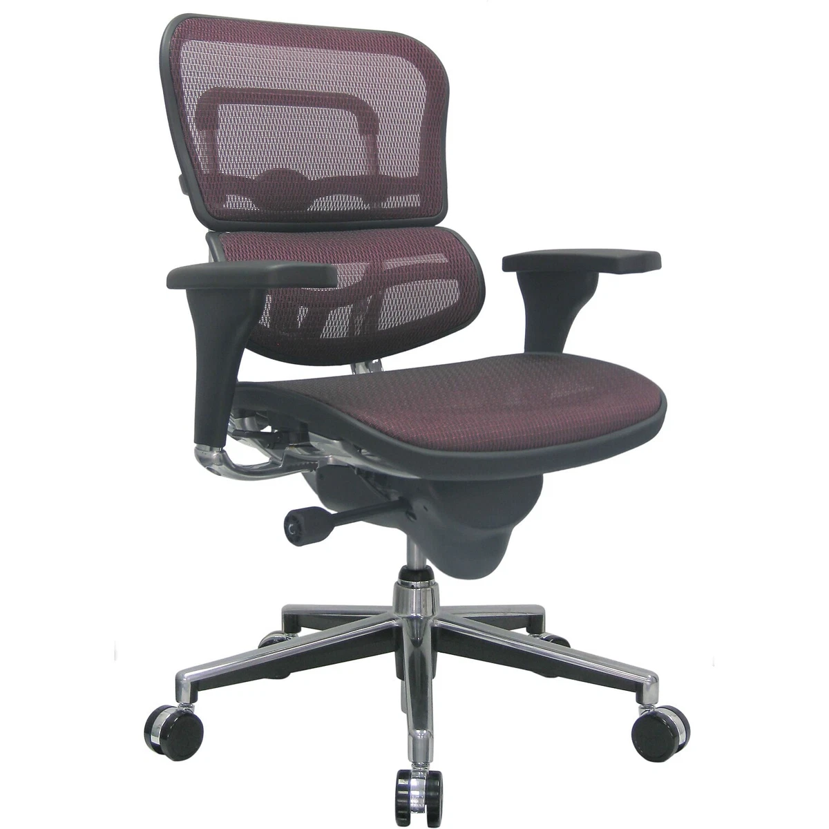 Raynor ergohuman mesh office 2024 chair with adjustable headrest