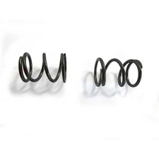 (2) Pack Of 36Lb Valve Springs DJ-1057