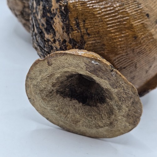 Coconut shell Owl Statue Figure Hidden Hinged Chamber Handmade Desktop 6” Mcm - Picture 15 of 20