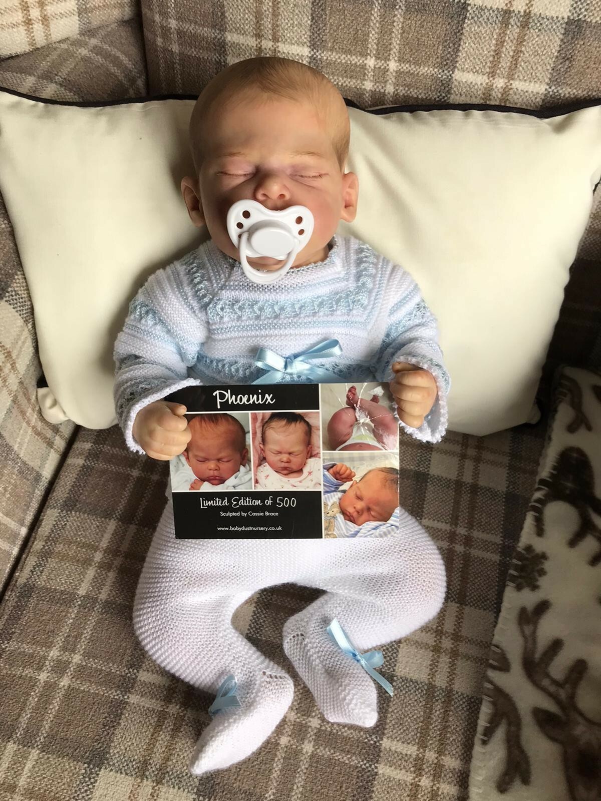 phoenix by cassie brace