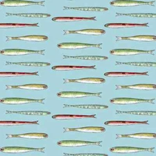 3 Yards Quilt Cotton Fabric - QT Fabrics Set Sail Fish on Ocean Blue