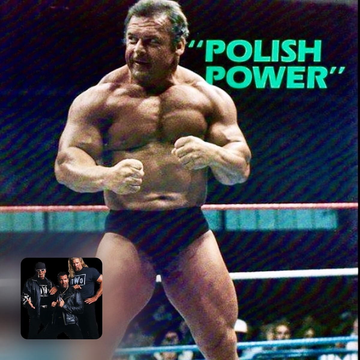 LEGENDS of WRESTLING - IVAN PUTSKI   VOLs 1-10 - PRO WRESTLING