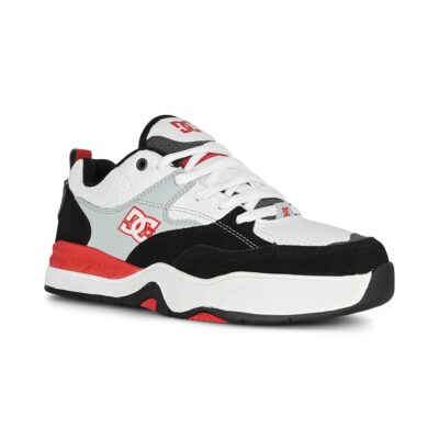 DC Shoes Ascend Skate Schuhe Schwarz/Grau/Weiß Herren Trainer