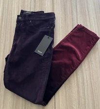 HUDSON Nico Midrise Skinny Purple Ombre Velvet Stretch Ankle Pants Size 26 $215